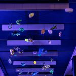 photoDK_manuela_pauk_UnderPressure_02