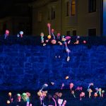 photoDK_polje_micelija_03